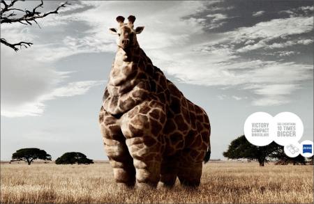 Et cette girafle!